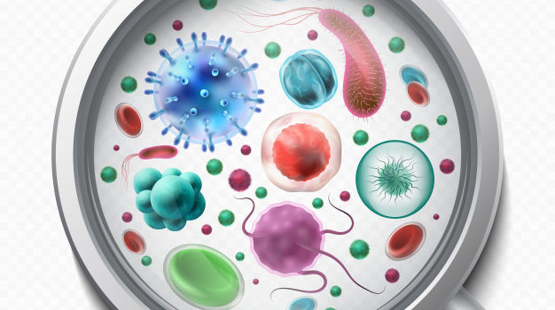 Wirusy i bakterie